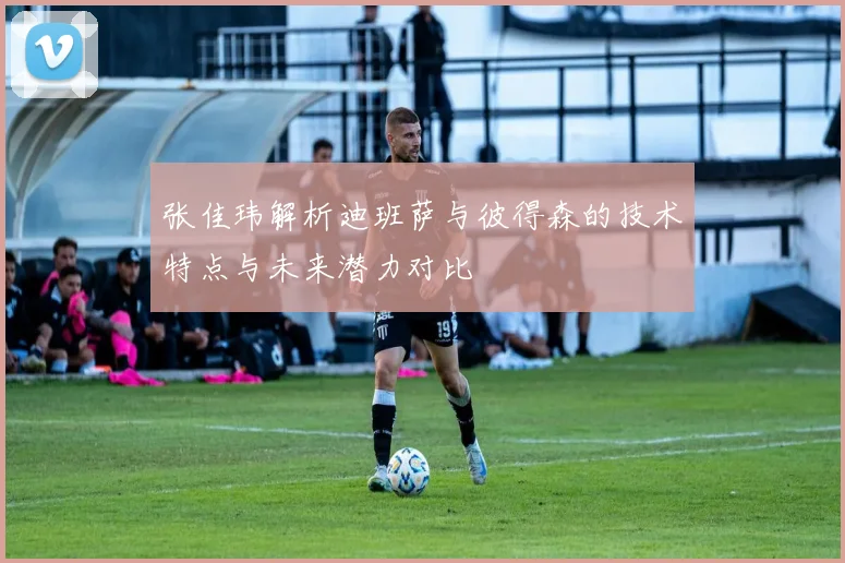 张佳玮解析迪班萨与彼得森的技术特点与未来潜力对比