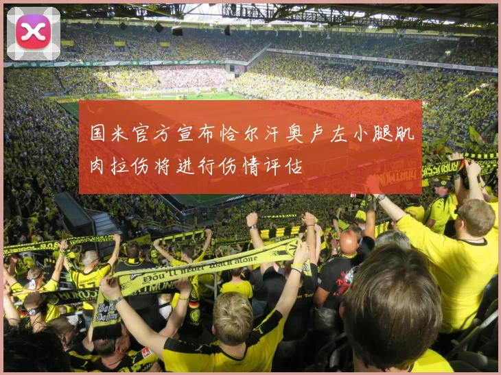 国米官方宣布恰尔汗奥卢左小腿肌肉拉伤将进行伤情评估